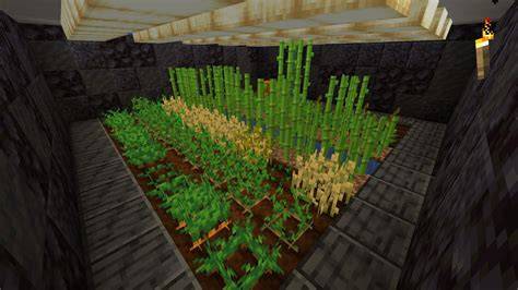 Can You Grow Underground In Minecraft