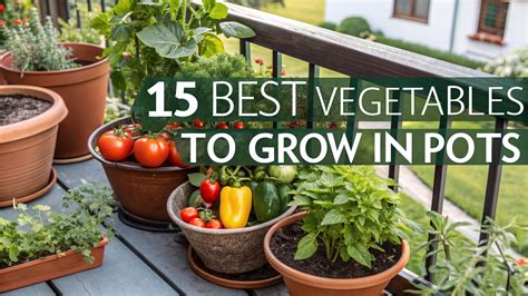 Can You Grow Vegetables In Pots