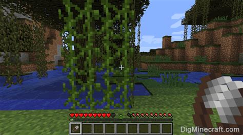 Can You Grow Vines In Minecraft