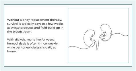 Can You Live Without Kidneys