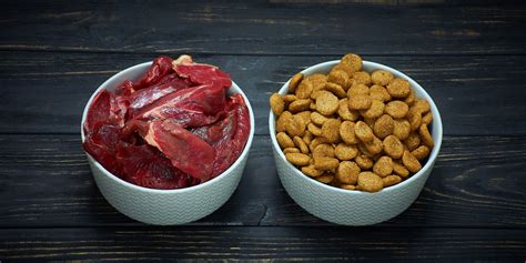 Can You Mix Kibble And Raw Food