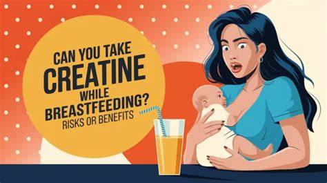 Can You Take Creatine While Breastfeeding