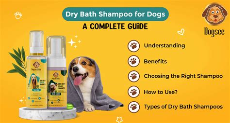 Can You Use Human Shampoo On Dogs