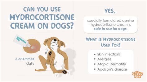 Can You Use Hydrocortisone Cream On Dogs