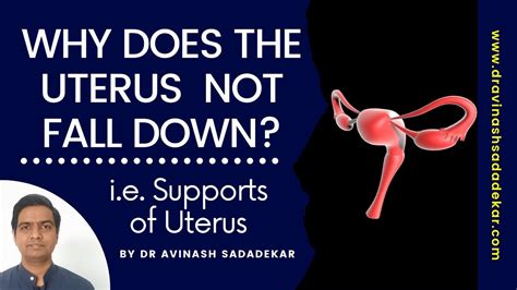 Can Your Uterus Fall Out