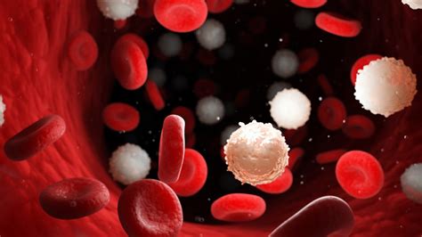 Cancer En La Sangre