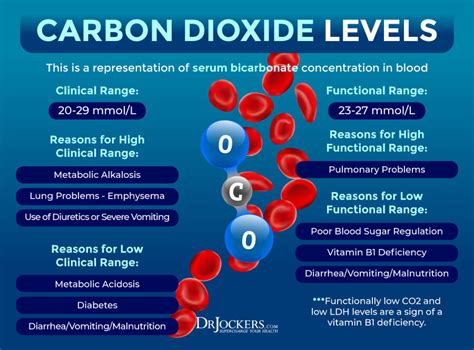 Carbon Dioxide Low In Blood