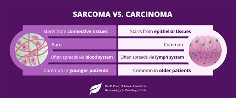 Carcinoma Vs Sarcoma