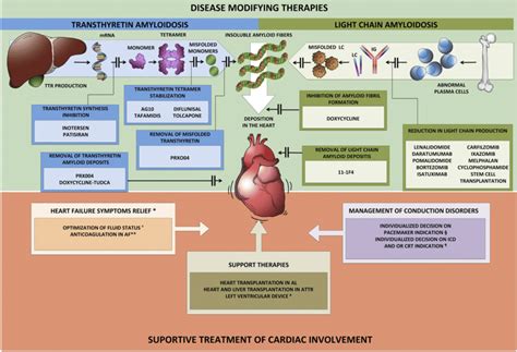 Cardiac Amyloidosis Treatment