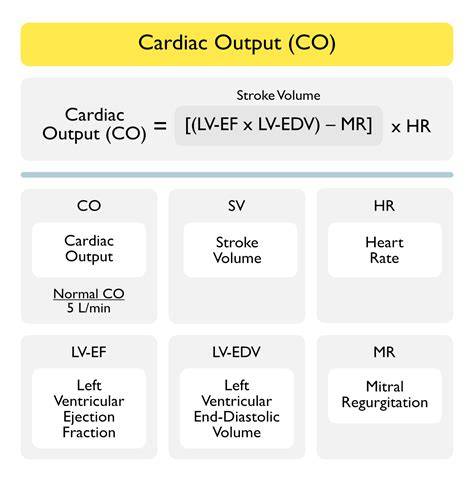 Cardiac Output Formula
