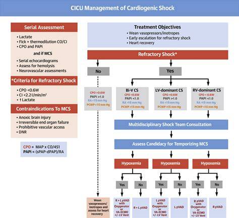 Cardiogenic Shock Treatment