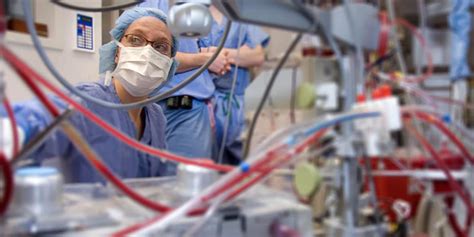 Cardiovascular Perfusionist Salary