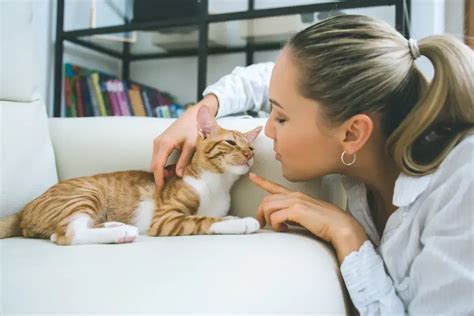 Cat S Does It Affect Insurance