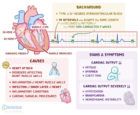 Causes Of Av Block