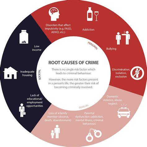 Causes Of Crime