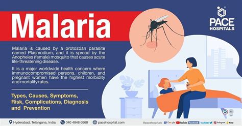 Causes Of Malaria