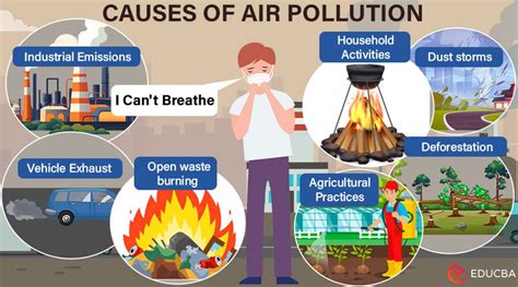 Causes Of Pollution