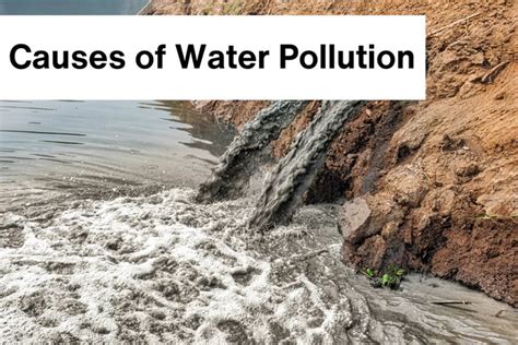 Causes Of River Pollution