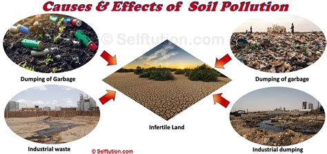Causes Of Soil Pollution