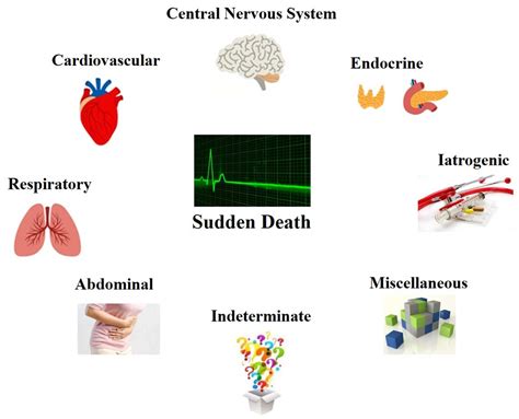Causes Of Sudden Death In Adults