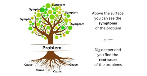 Causes Of The Problem