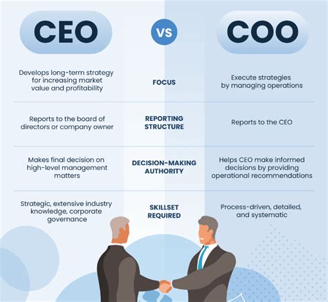 Ceo Vs Owner