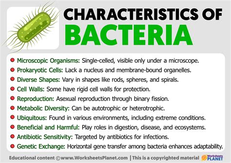 Characteristics Of Bacteria