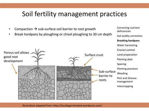 Characteristics Of Fertile Soil