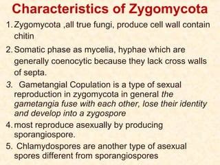 Characteristics Of Zygomycota