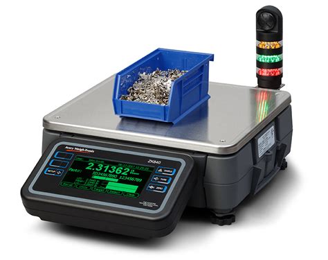 Checkweigher Scale