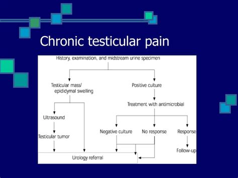 Chronic Testicular Pain