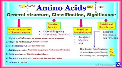 Classification Of Amino Acids