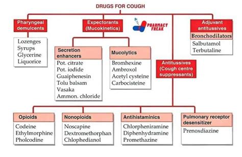 Classification Of Cough