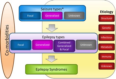 Classification Of Epilepsy