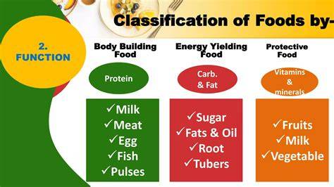 Classification Of Food
