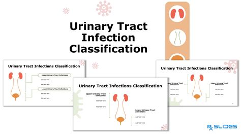 Classification Of Urinary Tract Infection