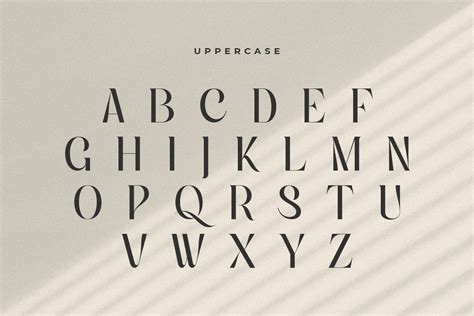 Classy Looking Font For X