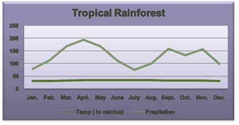 Climate Of Tropical Rainforest