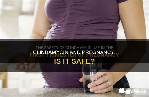 Clindamycin For Pregnant