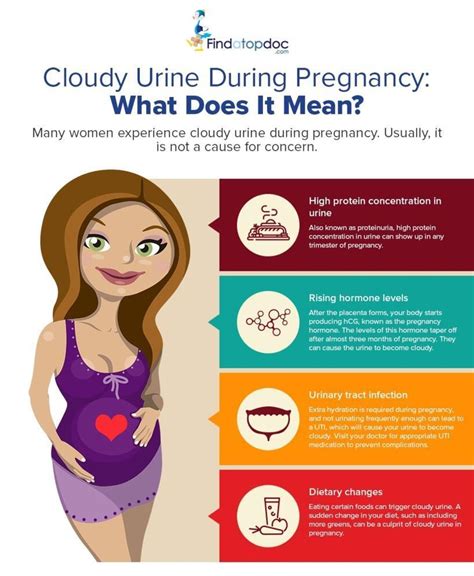 Cloudy Pregnancy Urine