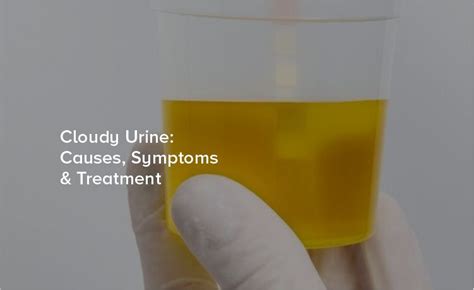 Cloudy Urine Male