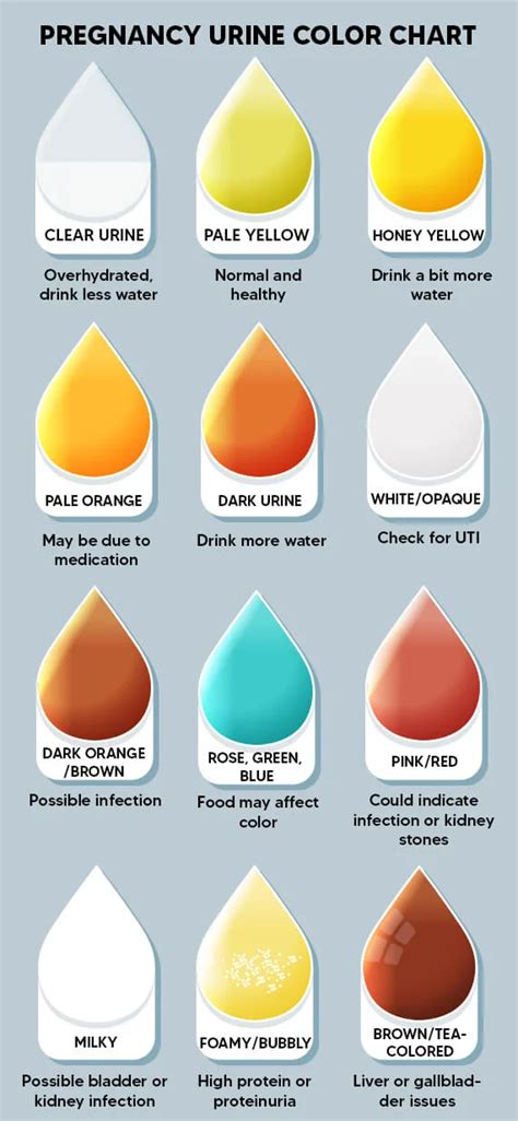 Cloudy Urine Pregnancy