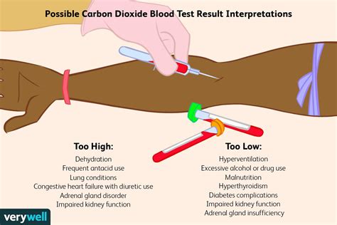 Co2 In Blood Test
