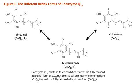 Coenzyme Q
