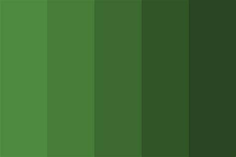 Color Palette For Jungle Green Paint