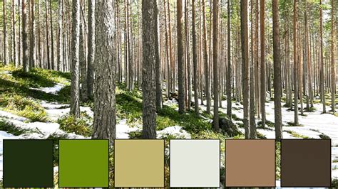Color Palette For Nature Poster
