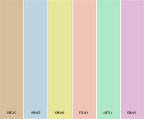 Color Palette For Unisex