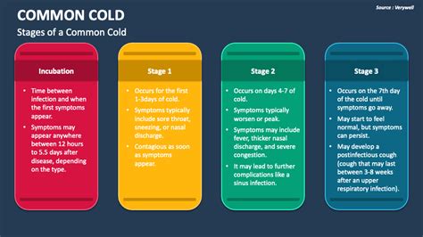 Common Cold Stages