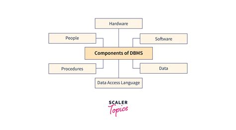 Components Of Dbms