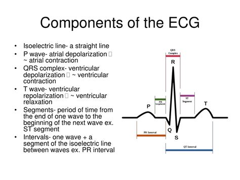 Components Of Ecg